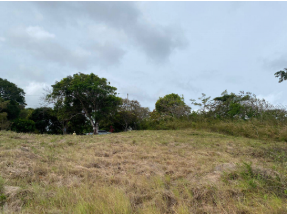 TERRENO EN VENTA/ LA SOLANA, LA LAGUNA DE SAN CARLOS - 4
