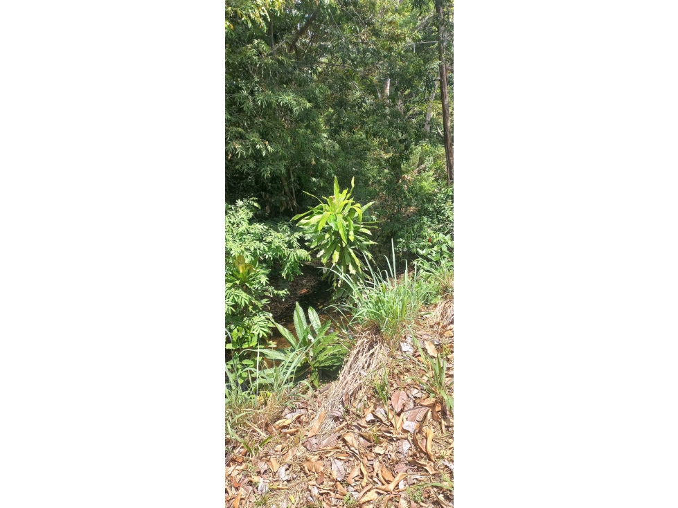 TERRENO EN VENTA/ LOS LOTES DE PACORA - 4