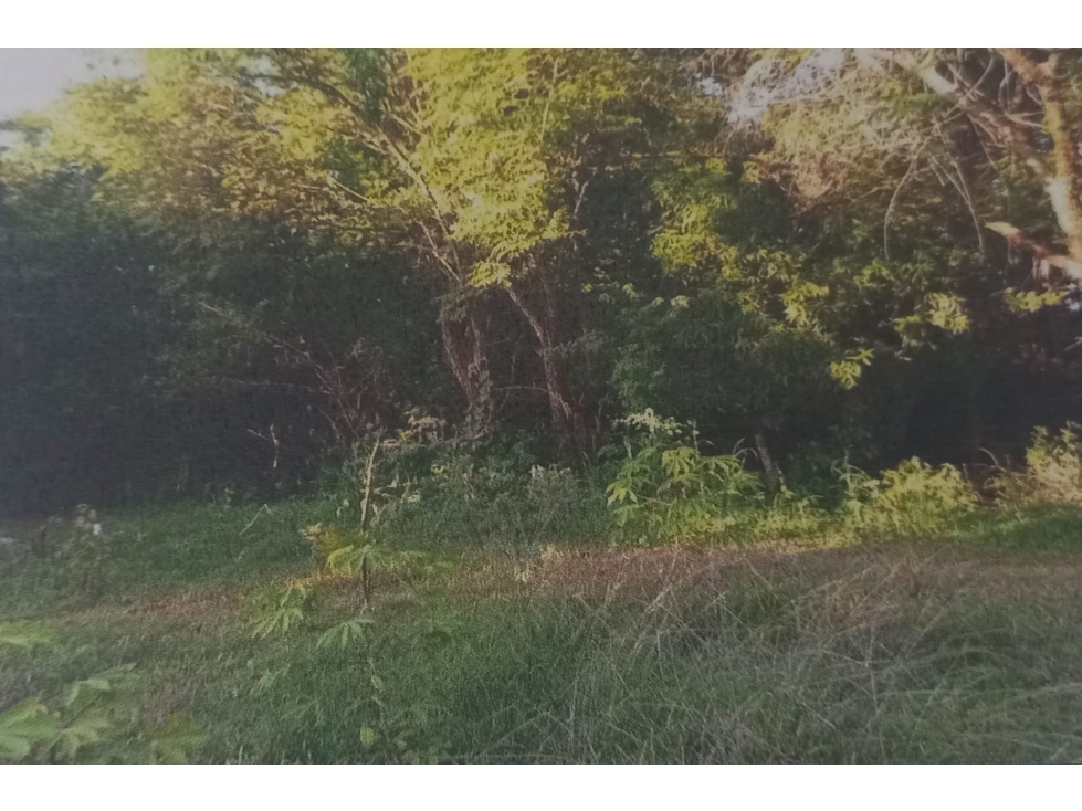 TERRENO EN VENTA / EL EMBALSADERO VERAGUAS - 6
