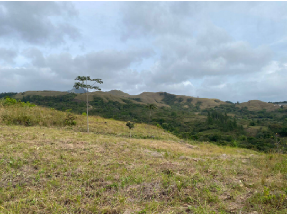 TERRENO EN VENTA/ LA SOLANA, LA LAGUNA DE SAN CARLOS - 1