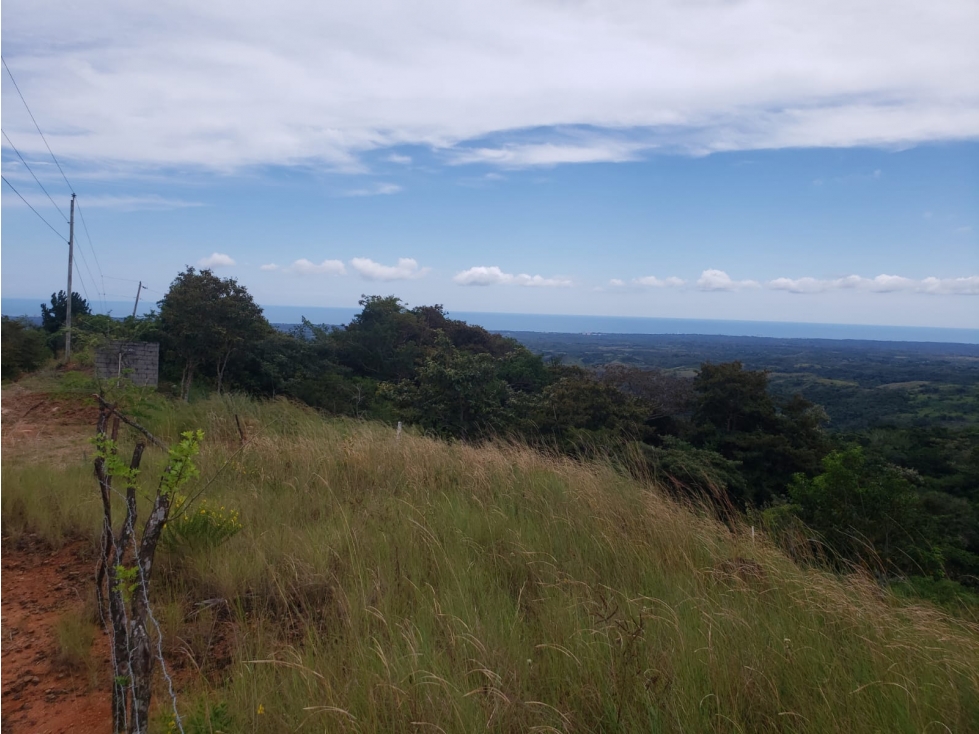 VENTA DE TERRENO/ EL NANCITO, LA LAGUNA DE SAN CARLOS - 3