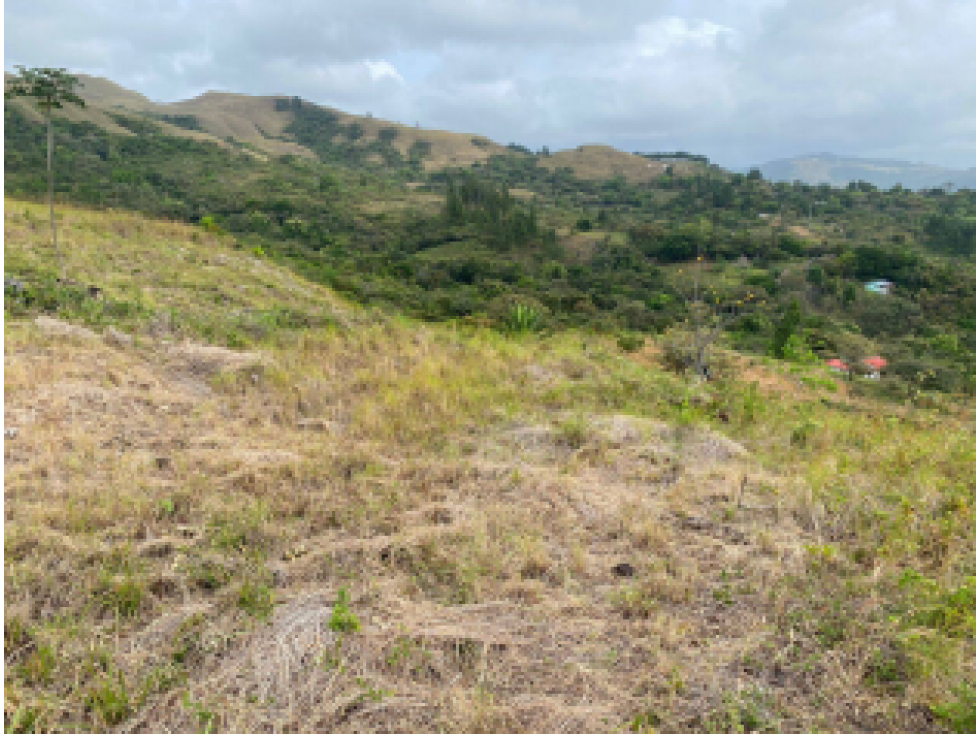 TERRENO EN VENTA/ LA SOLANA, LA LAGUNA DE SAN CARLOS - 5