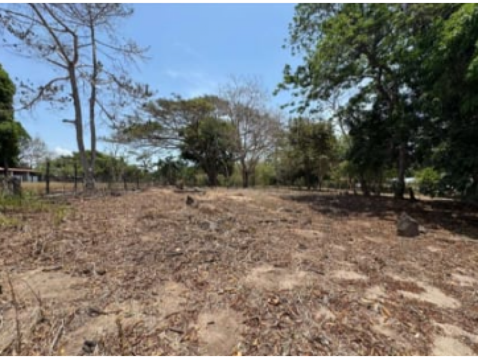 TERRENO EN VENTA / LAS UVAS DE SAN CARLOS - 3