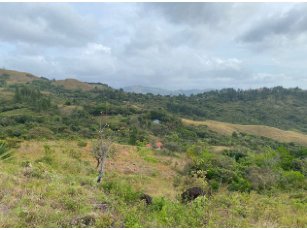 TERRENO EN VENTA/ LA SOLANA, LA LAGUNA DE SAN CARLOS - 6