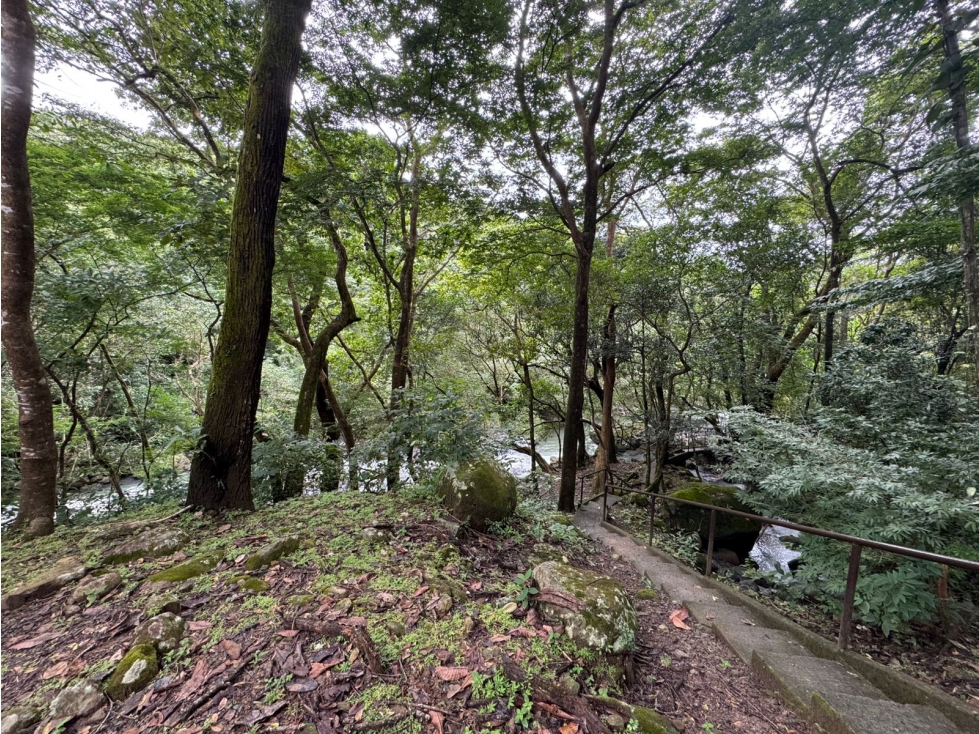 Casa en Altos del María, amoblada — foto 6