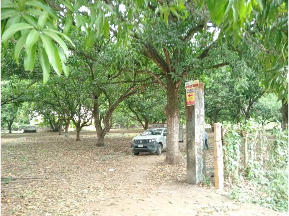 VENTA TERRENO SACRIFICIO TUXTLA CHICO CHIAPAS - 1