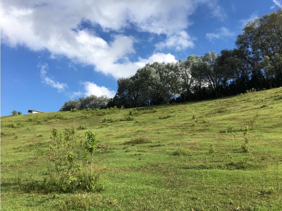 RIONEGRO LOTE A 5 MINUTOS DEL AEROPUERTO J.M.C DE MAYOR EXTENSION — foto 3