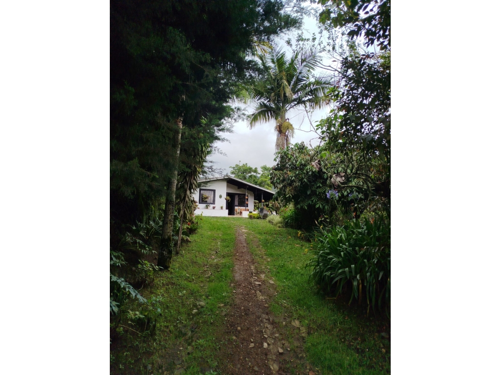 GUARNE CASA CAMPESTRE CERCA AL AEROPUERTO IDEAL — foto 2