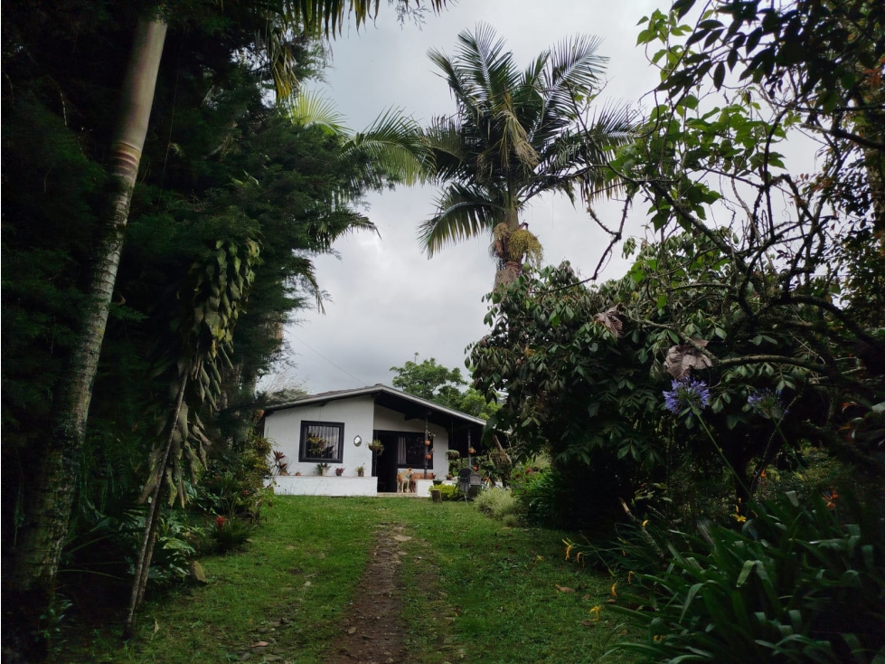 GUARNE CASA CAMPESTRE CERCA AL AEROPUERTO IDEAL — foto 3