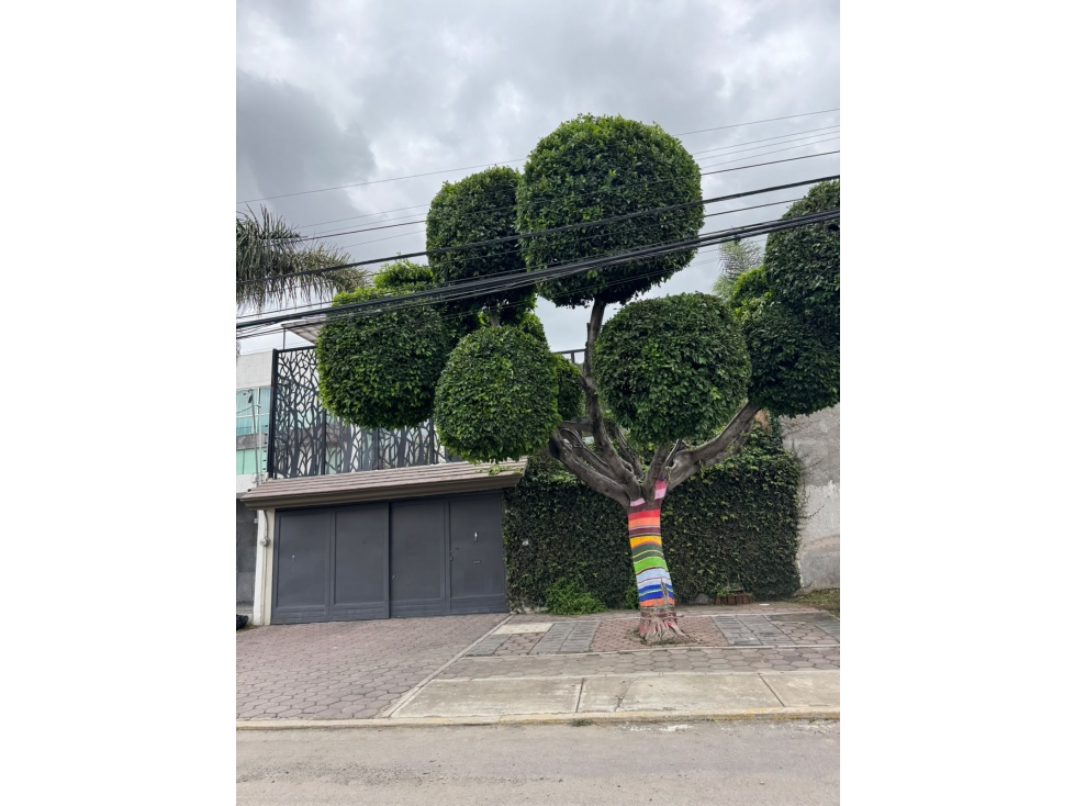 Casa en Venta Momoxpan, Uso de Suelo Mixto — foto 4