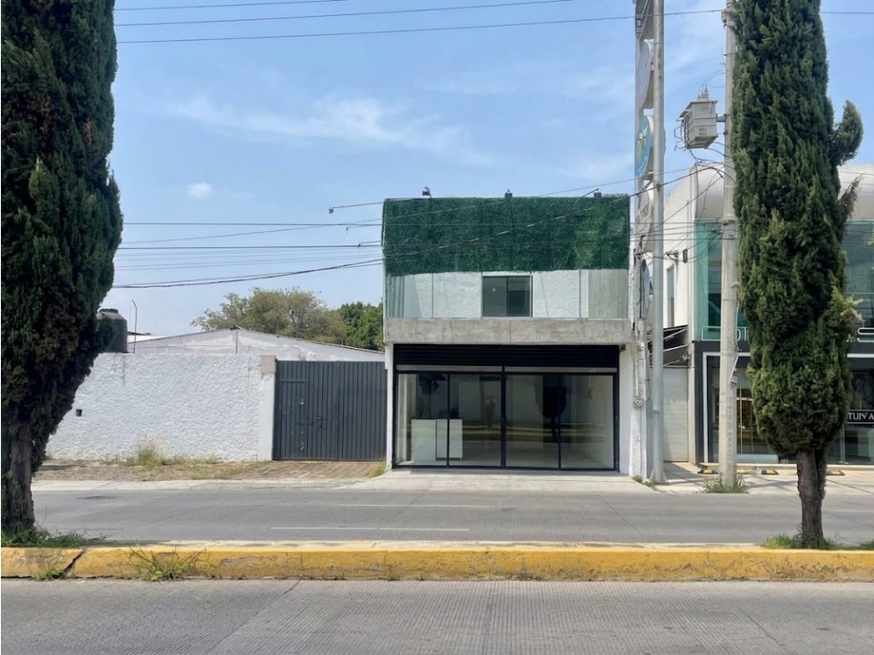 Local Comercial en Renta en Avenida Zavaleta - 4