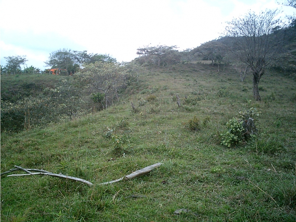 Venta De Lote Vereda Monte Grande, Sopetrán — foto 3