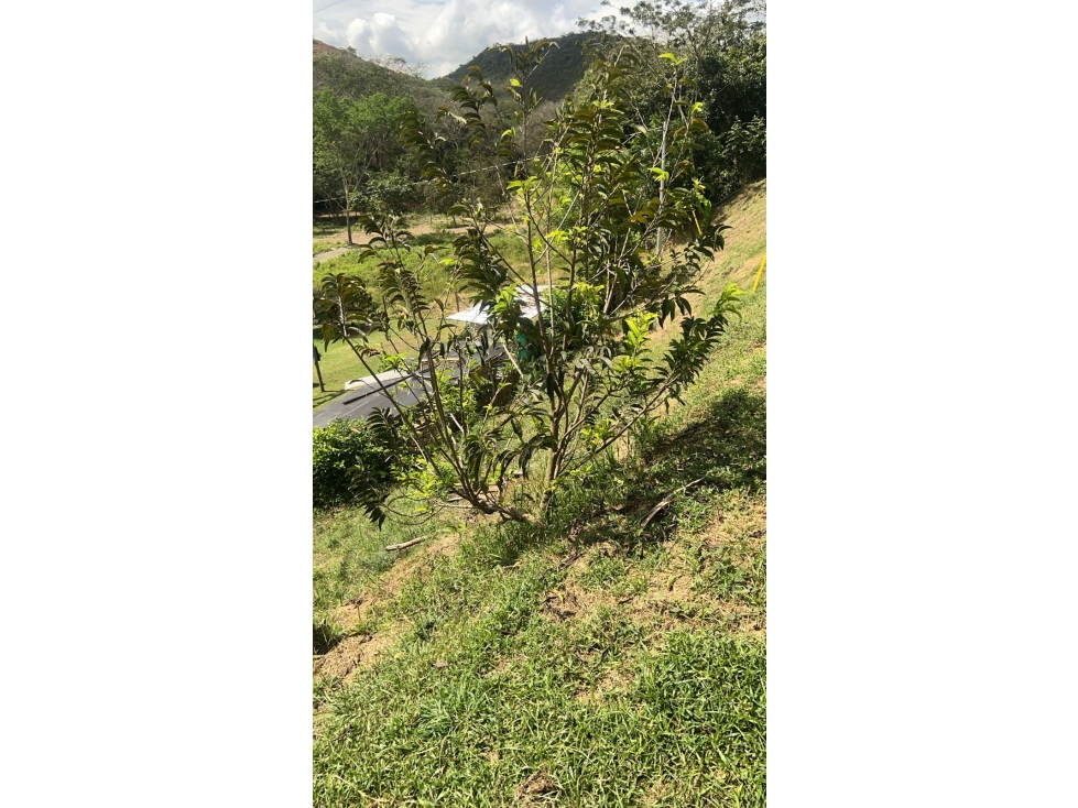 Venta De Lote Vereda Tafetanes Sopetran - 4