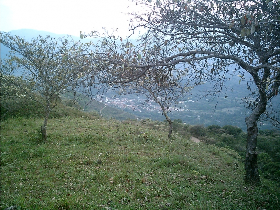 Venta De Lote Vereda Monte Grande, Sopetrán