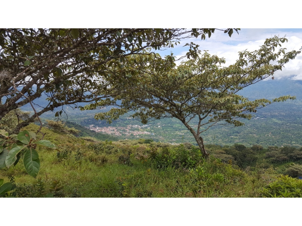 Venta De Lote Vereda Monte Grande, Sopetrán — foto 4