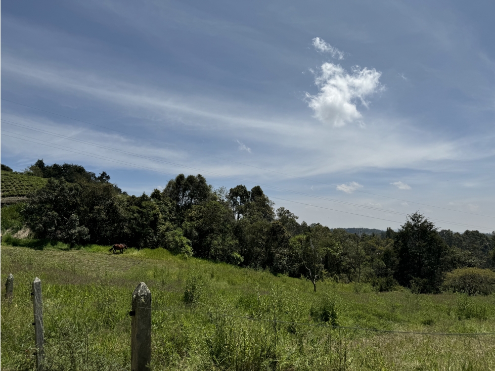 Lote en Venta en Sajonia (a pocos kms del Tunel y aeropuerto) — foto 2