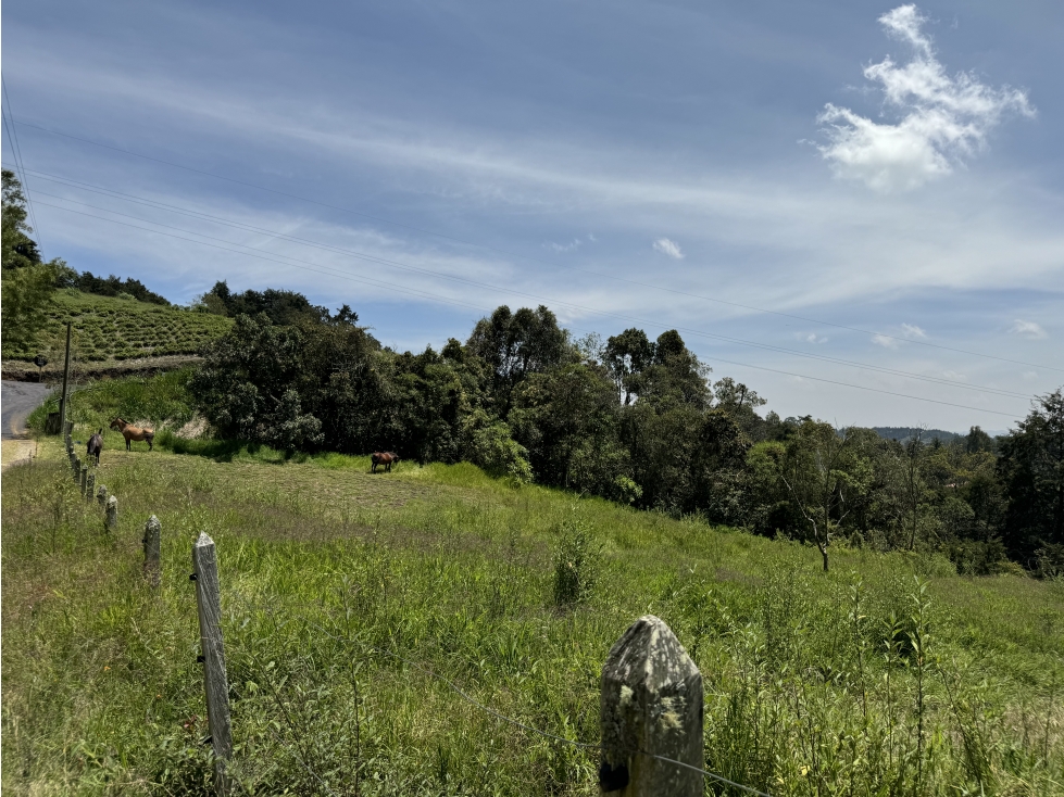 Lote en Venta en Sajonia (a pocos kms del Tunel y aeropuerto) — foto 5