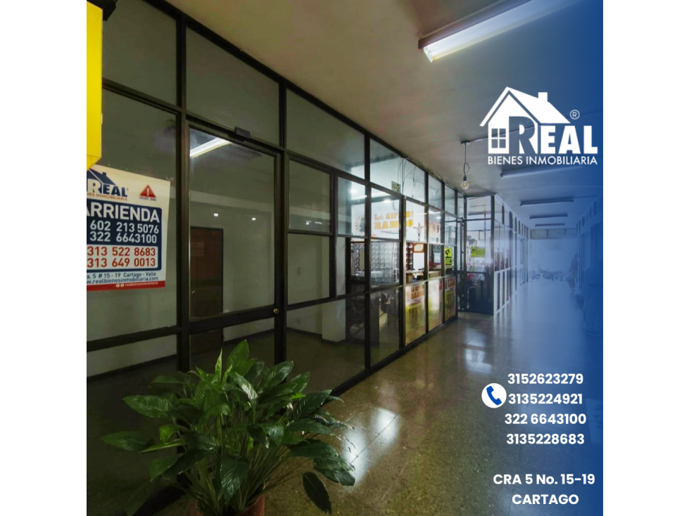 ARRENDAMIENTO LOCALES CENTRO COMERCIAL LA 11 CARTAGO VALLE - 2