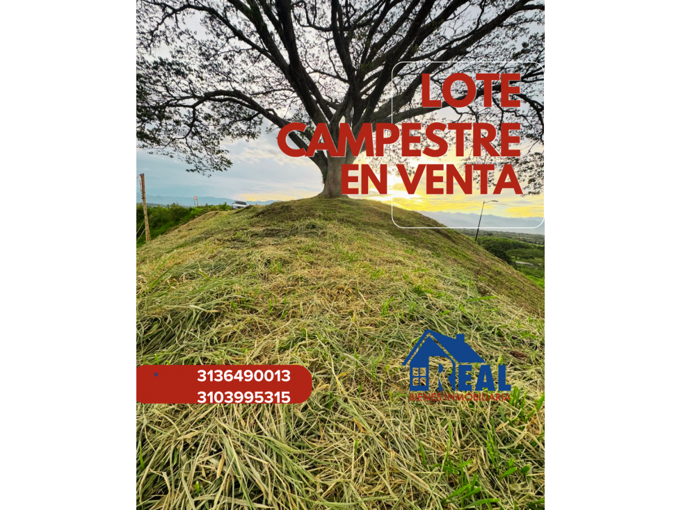 VENTA LOTE CAMPESTRE CONJUNTO QUINTAS DE LA VITRINA - 4