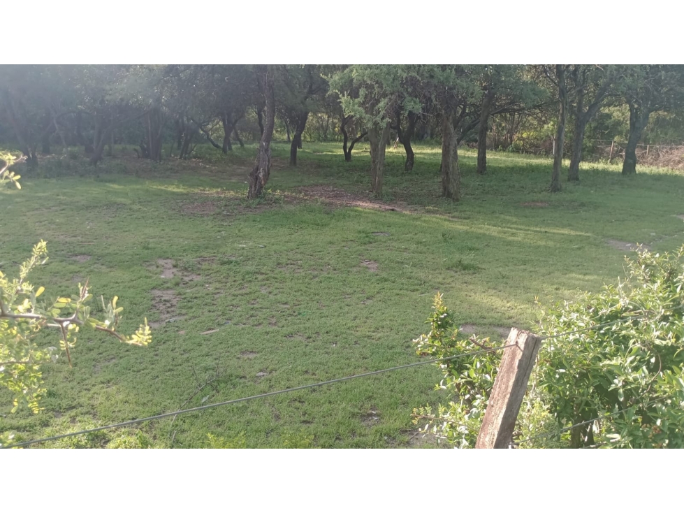 MERLO SAN LUIS LOTE EN VENTA APTO DESARROLLO - 5