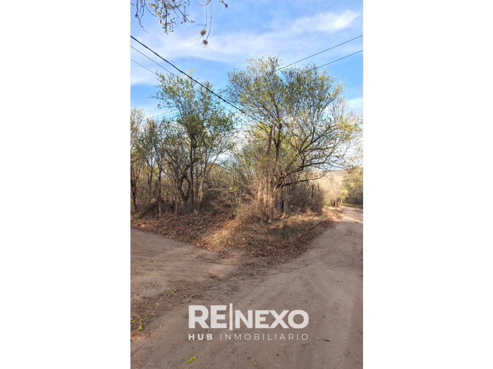 TERRENO VENTA CASA GRANDE ESQUINA 707 M2 A 1 CUADRA DE RIO ESPECT - 6