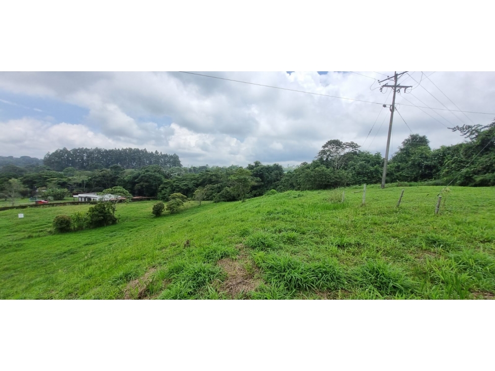 SE VENDE LOTE CAMPESTRE EN CONDOMINIO SALENTO 5428 - 2
