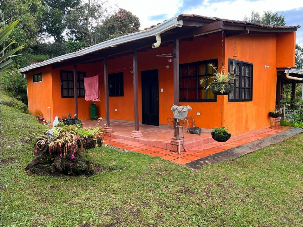 Venta de finca en Guarne vereda Alto de la Mejía