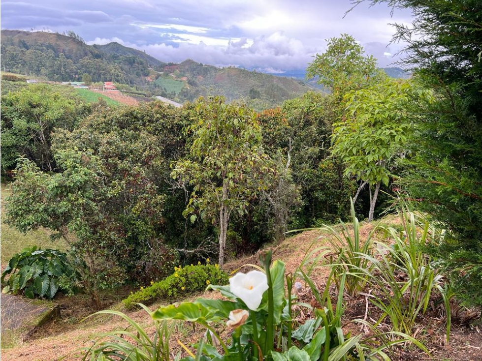 Venta de finca en Guarne vereda Alto de la Mejía — foto 3