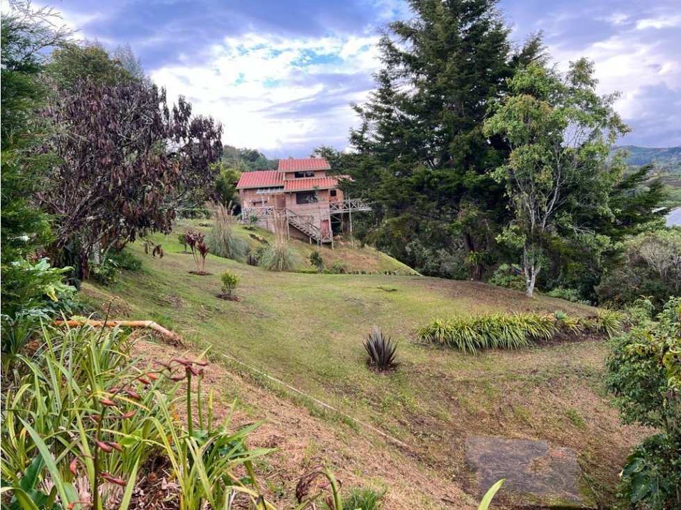 Venta de finca en Guarne vereda Alto de la Mejía — foto 4