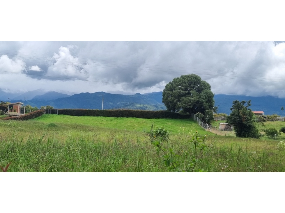 LOTE SUBURBANO EN CONDOMINIO - SALENTO QUINDÍO - 6
