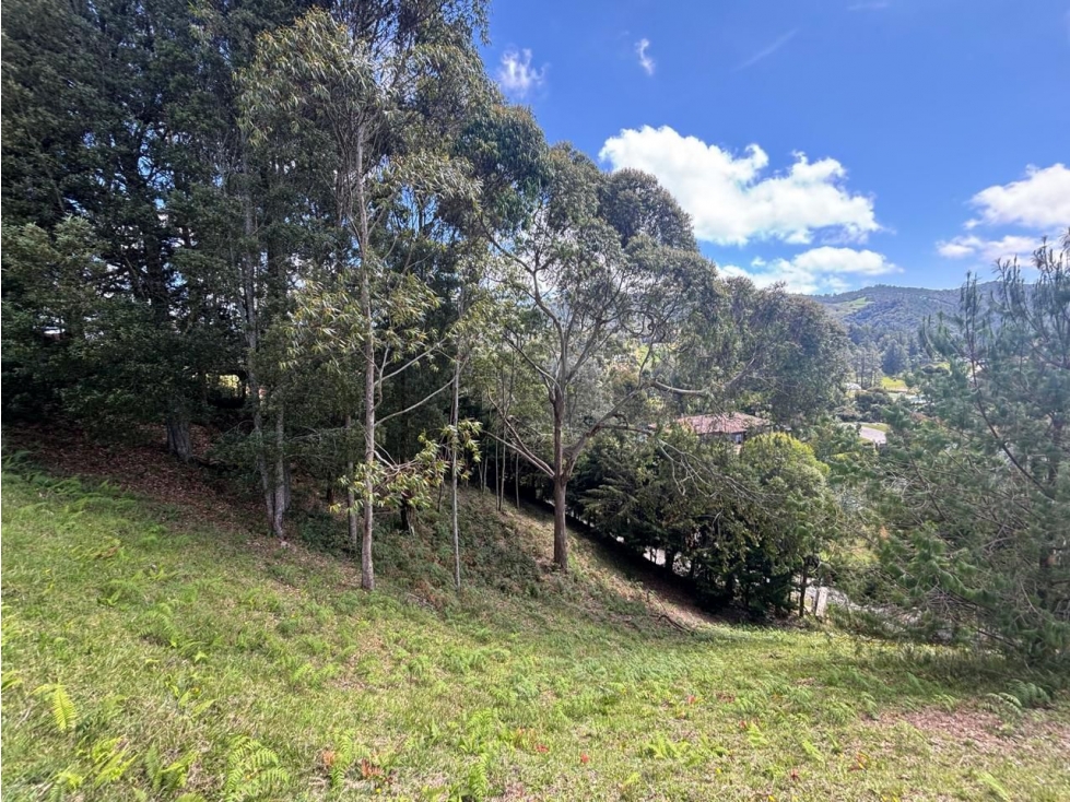 VENTA DE LOTE EN ENVIGADO SECTOR EL ESCOBERO — foto 6