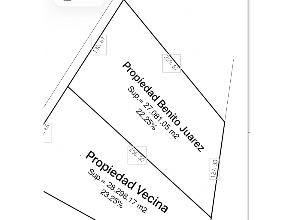 Terreno Comercial en Renta Cadereyta - Av. Benito Juárez - 3