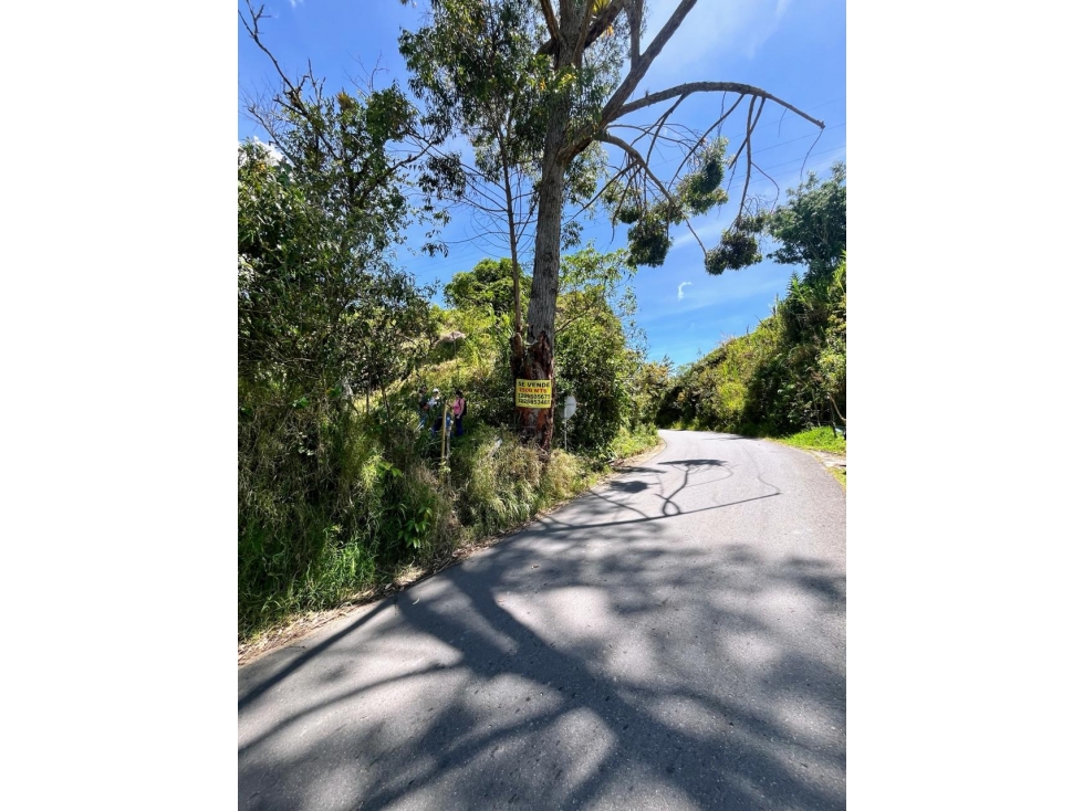 Lote sobre vía pavimentada en El Peñol