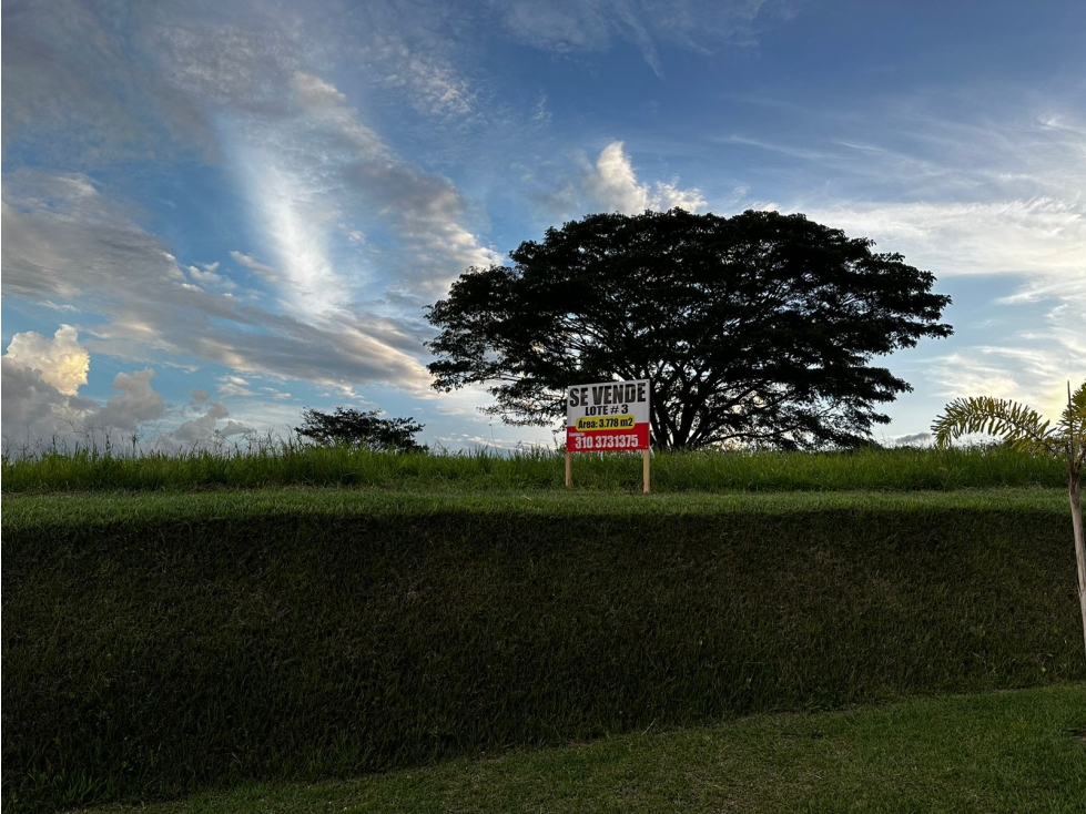 Lote en Area Exclusiva de Pereira de 3778 m² — foto 4