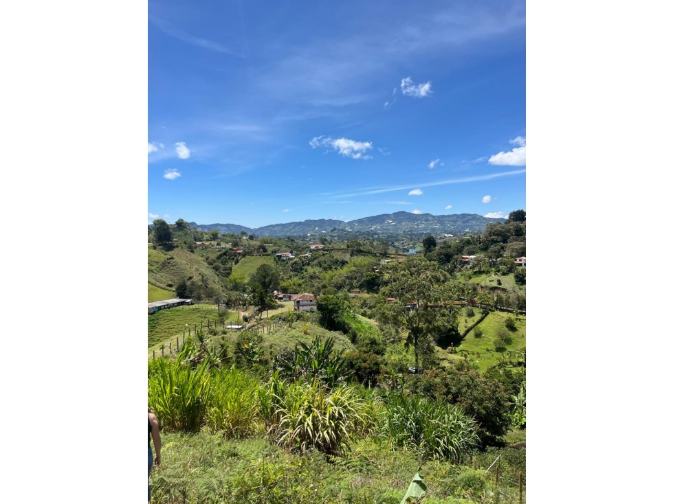 Lote sobre vía pavimentada en El Peñol — foto 2