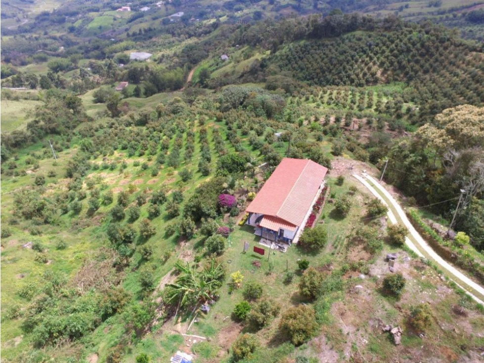 Venta de lote en el Peñol - Antioquia.