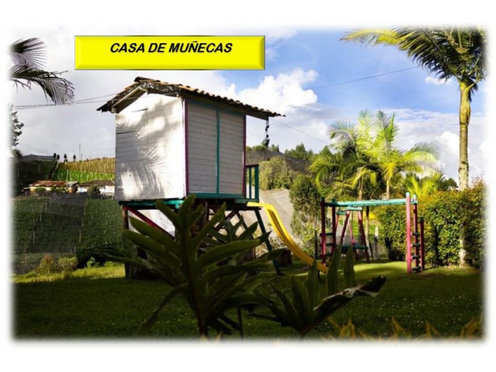 HERMOSA FINCA CON PESEBRERA - CARMEN DE VIBORAL- ANTIOQUIA — foto 5