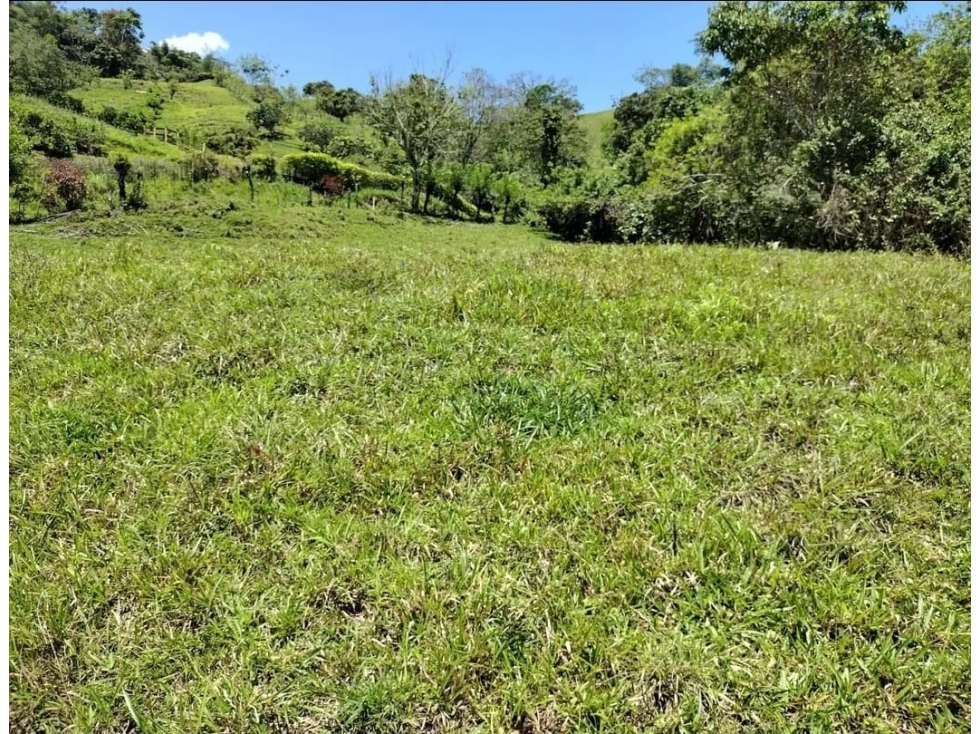 Venta de Lote Valparaiso - Antioquia. — foto 4