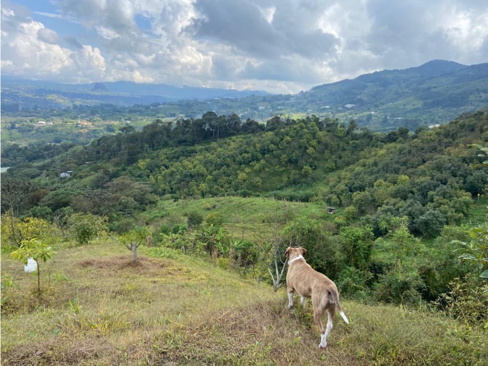 Venta de lote en el Peñol - Antioquia. — foto 4