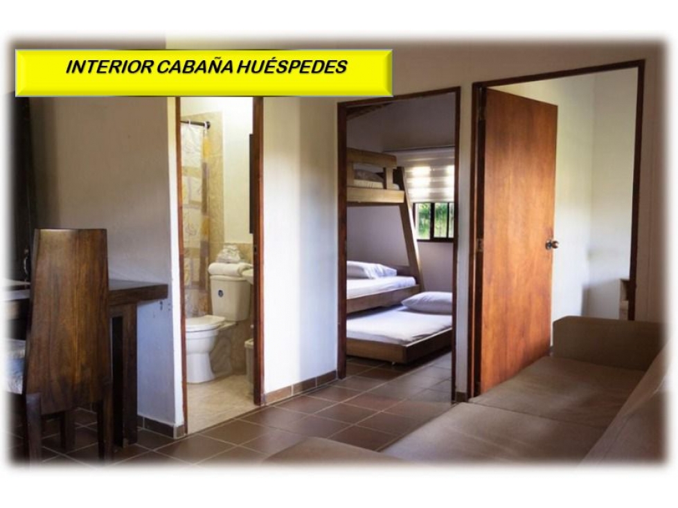 HERMOSA FINCA CON PESEBRERA - CARMEN DE VIBORAL- ANTIOQUIA — foto 6