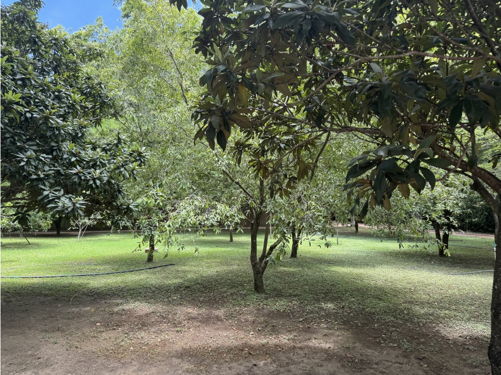VENTA FINCA DE LUJO 14 ALCOBAS. SANTAFE DE ANTIOQUIA — foto 6