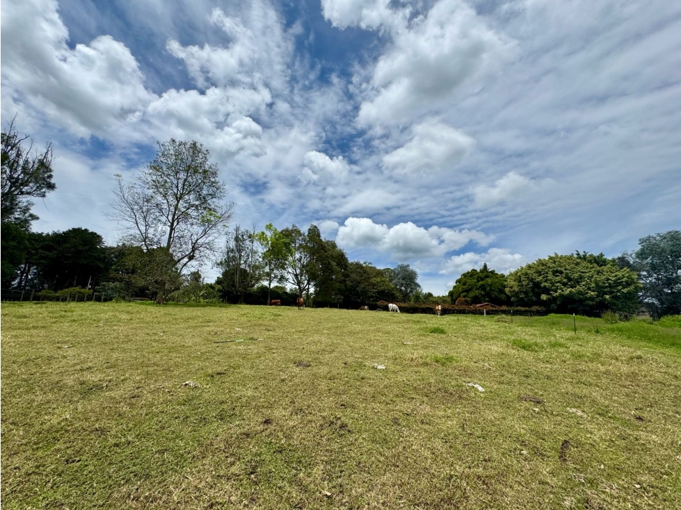 VENTA LOTE 5.400 M2. EXCLUSIVA PARCELACION. CABECERAS, LLANOGRANDE — foto 2