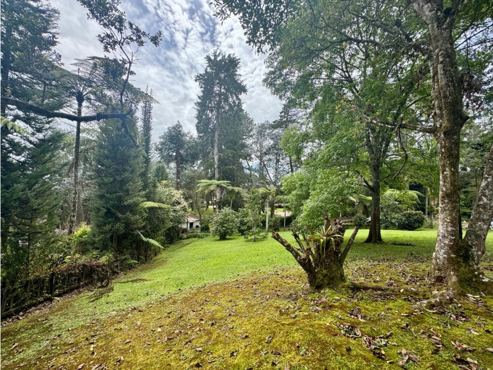 Venta lote en Rionegro, El Tablazo. Absolutamente tranquilo!! — foto 4