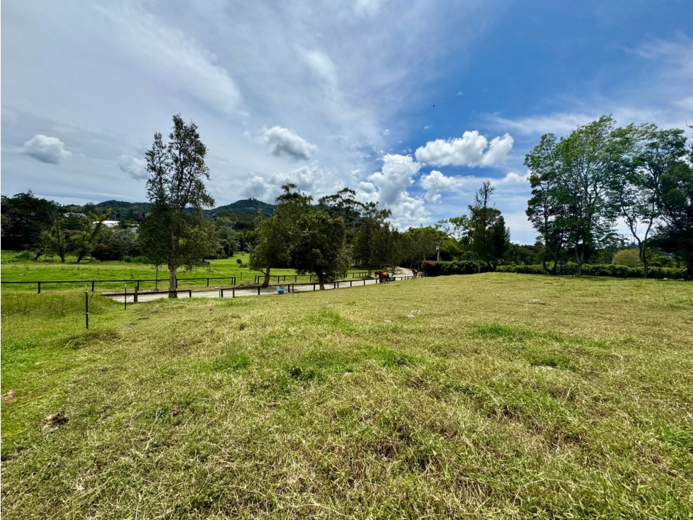 VENTA LOTE 5.400 M2. EXCLUSIVA PARCELACION. CABECERAS, LLANOGRANDE — foto 4