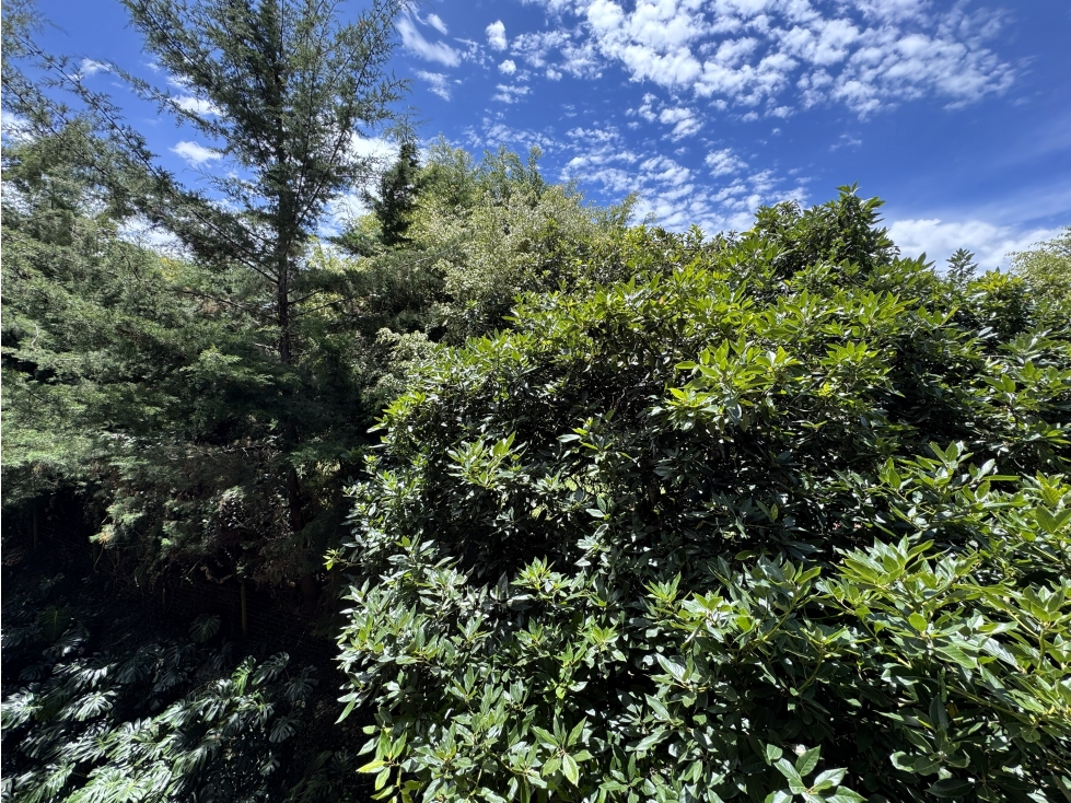 VENTA APARTAMENTO 2 ALCOBAS PARA ESTRENAR. EL RETIRO, ANTIOQUIA — foto 5