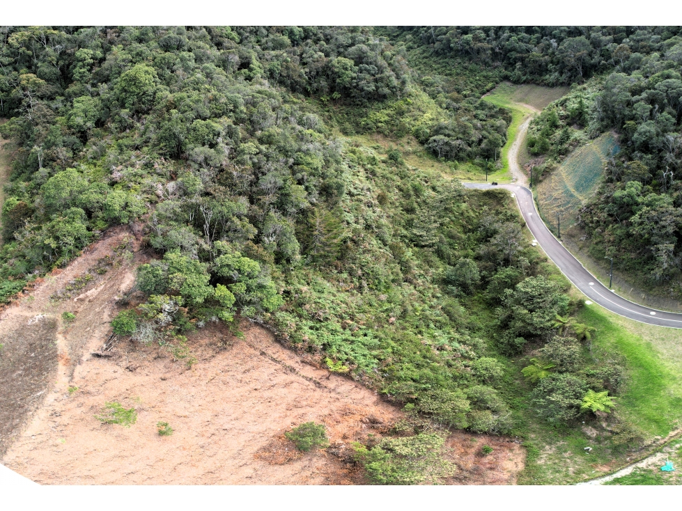 VENTA DE LOTE UNIDAD CERRADA LA CEJA. 10.320 METROS — foto 5