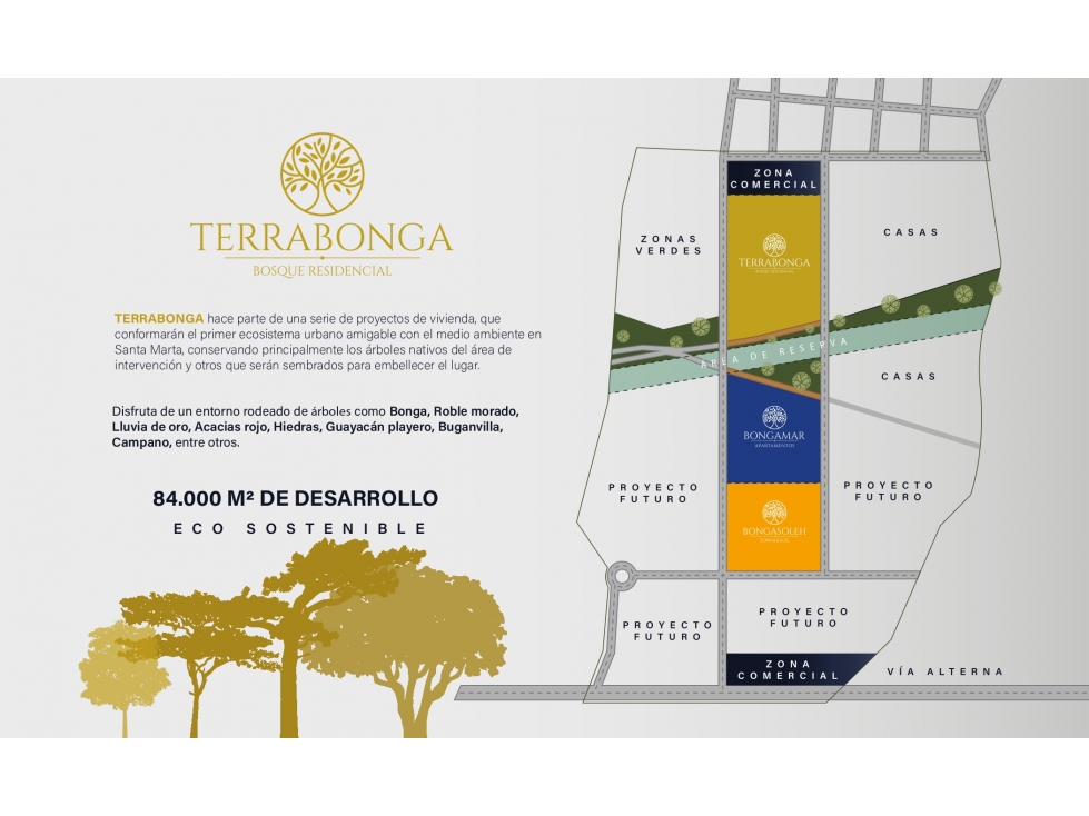 TERRABONGA — foto 3