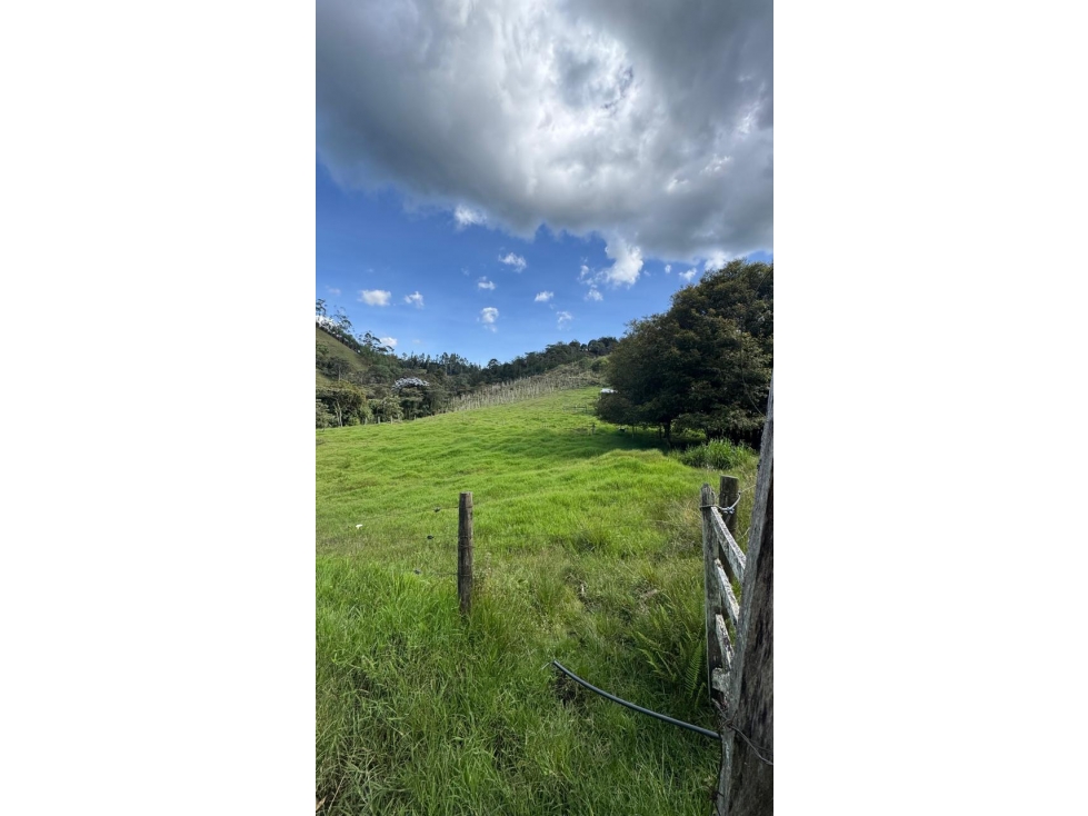 Lote en venta en Sector Carabanchel Vereda Colombia Orquídeas