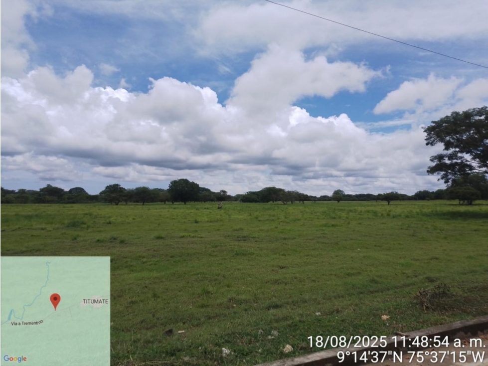 Lote Ganadero en Venta en Sucre - 1
