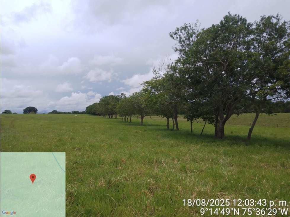 Lote Ganadero en Venta en Sucre - 2